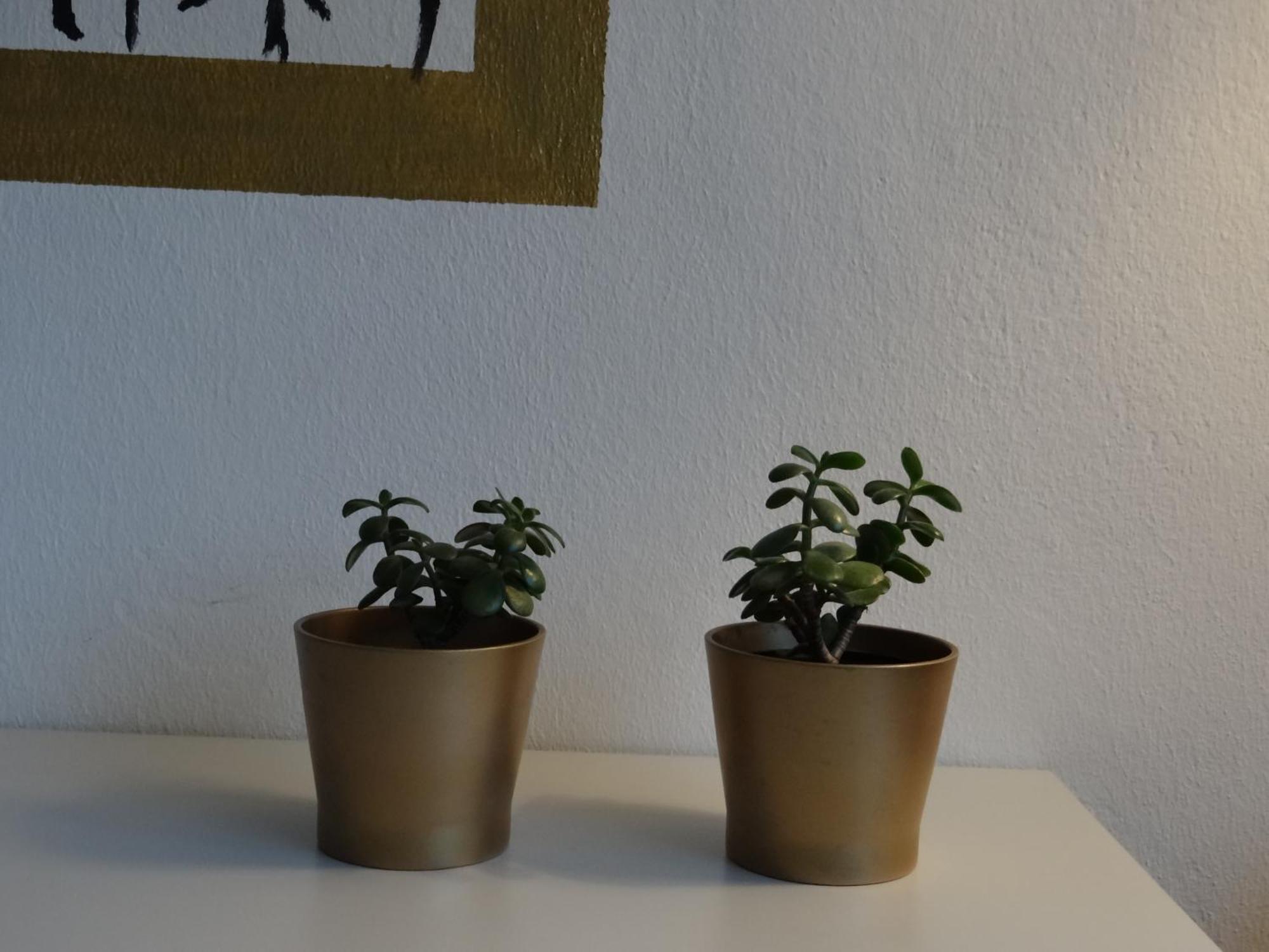 Hostel Stralsund Ruang foto